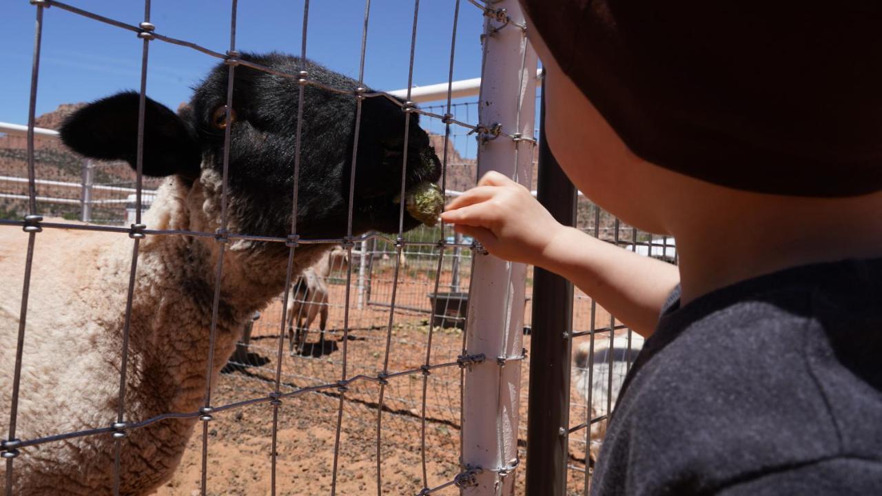 Zion View Camping Hildale 외부 사진