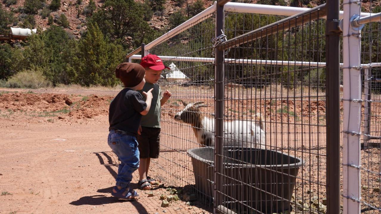 Zion View Camping Hildale 외부 사진